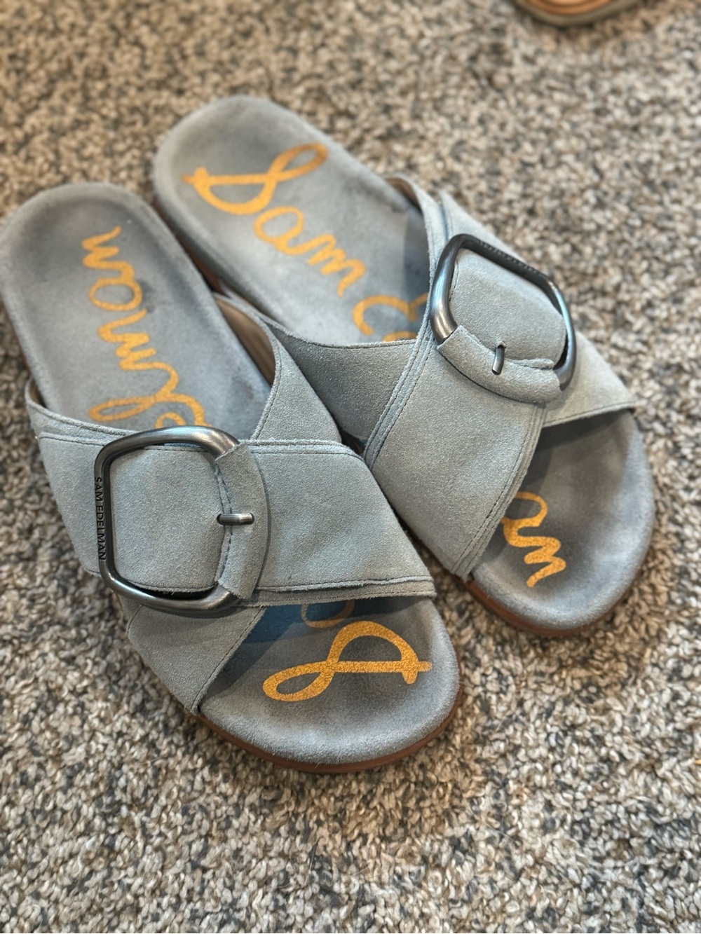 Sam Edelman Women's Darla Suede Slide Sandals with Buckle